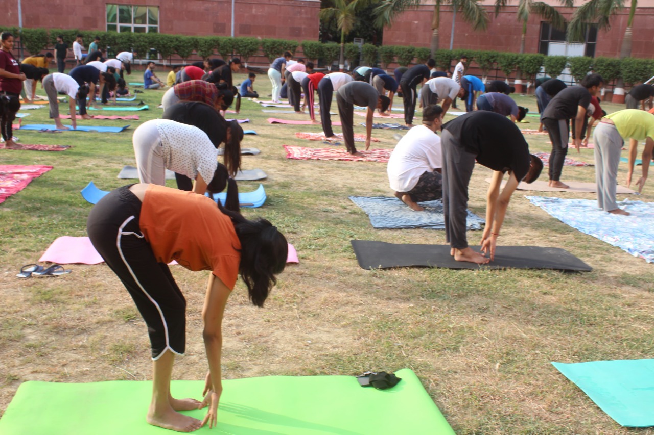 yoga day